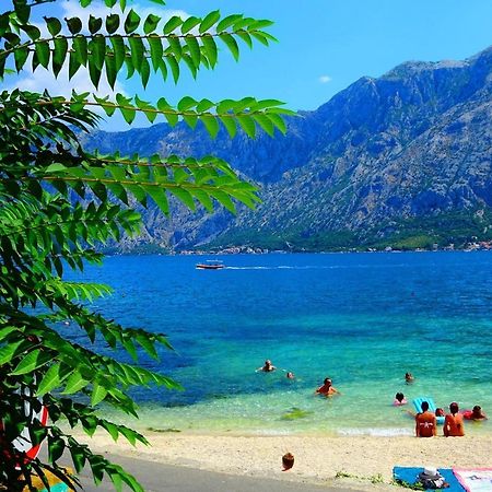 Bay Of Kotor View Apartment With Pool Prčanj エクステリア 写真