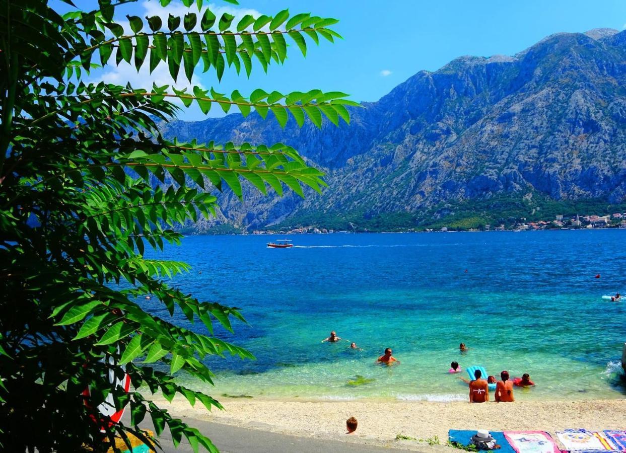 Bay Of Kotor View Apartment With Pool Prčanj エクステリア 写真